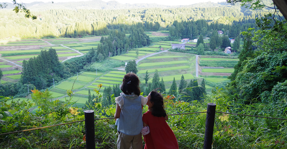 田毎の月の展望台から見る三ツ山の棚田